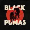 Black Pumas - Black Pumas